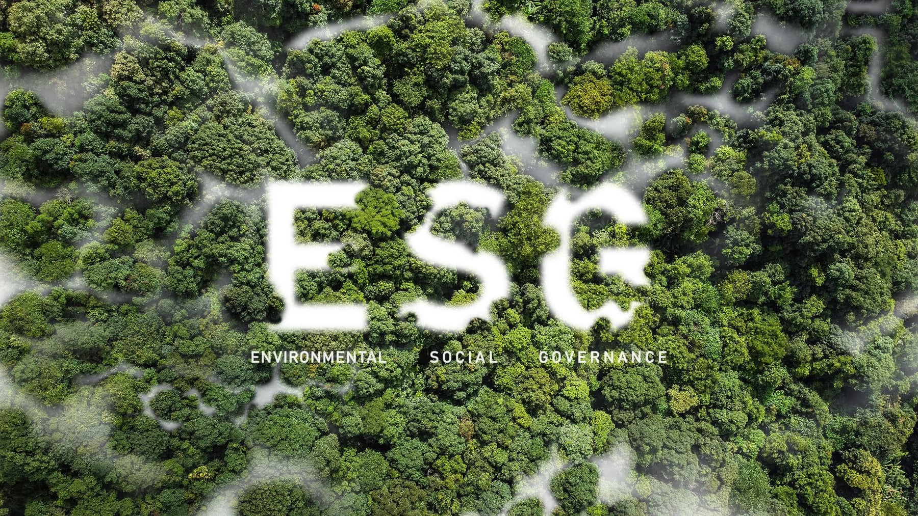 ESG im E-Commerce » So wird dein Unternehmen nachhaltig