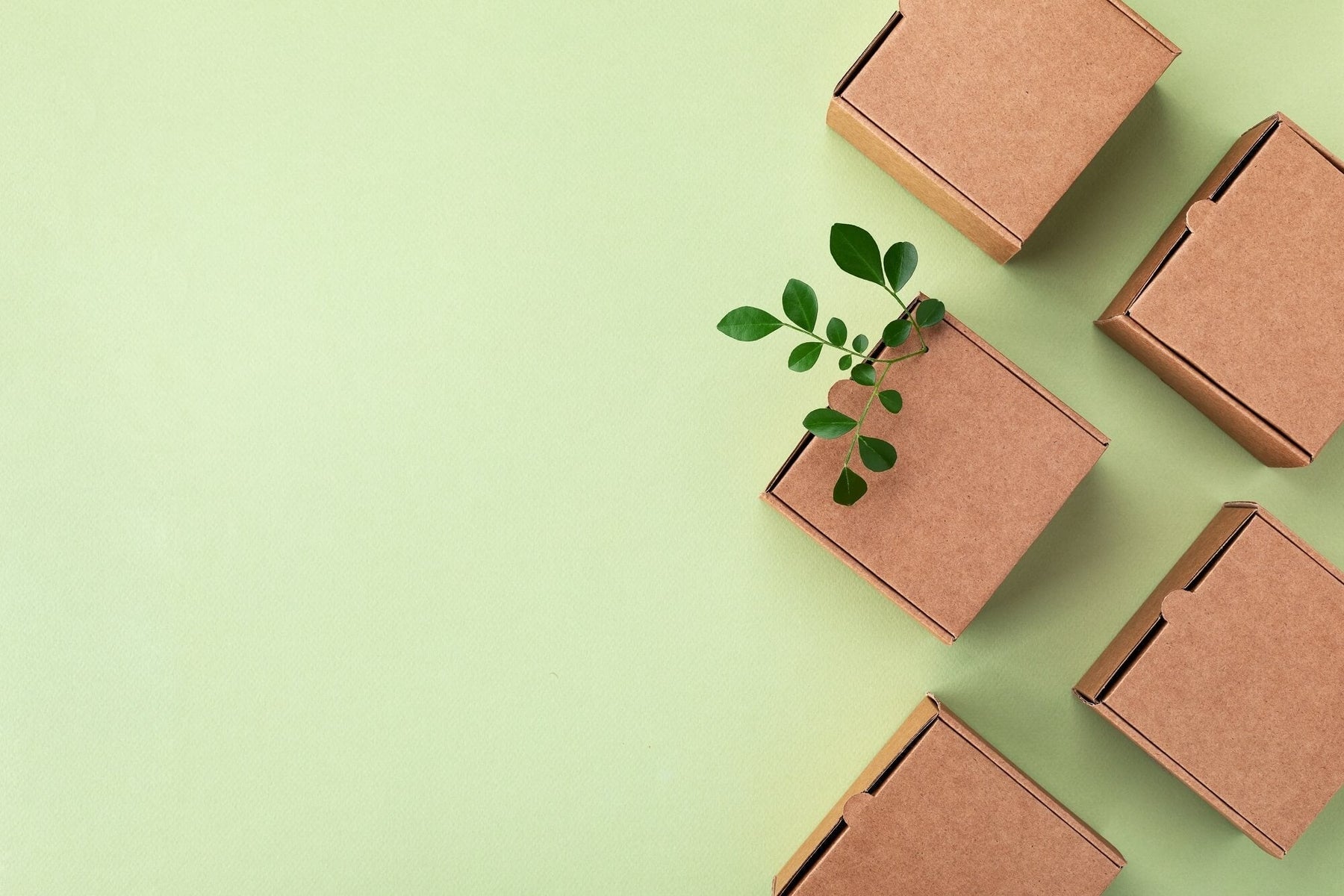Verpackungslizenzierung: Ein Praxis-Guide für den Online-Handel
