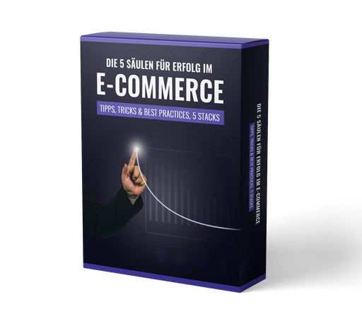 Die5SaeulenfuerErfolgimECommerce