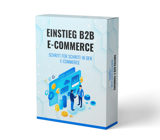 EinstiegB2BE_Commerce