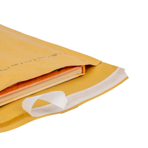 LPT_D4_BraunLuftpolstertasche180x265mmbraun_6