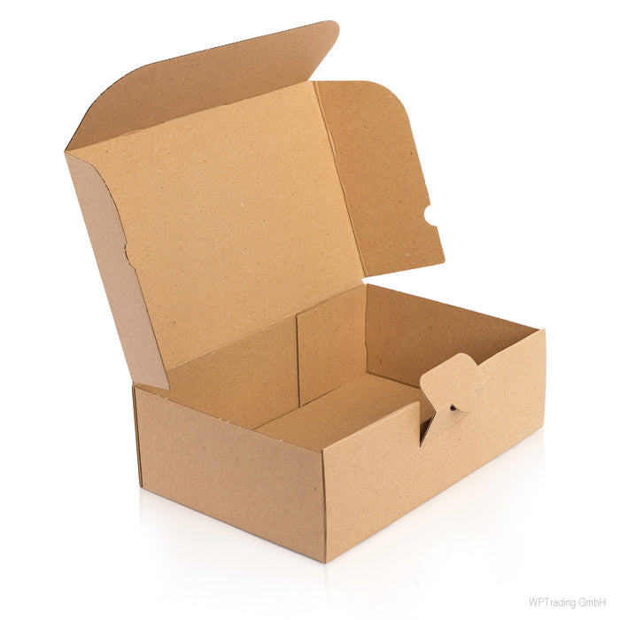 Kleinpaket Karton 350x250x80 mm, braun
