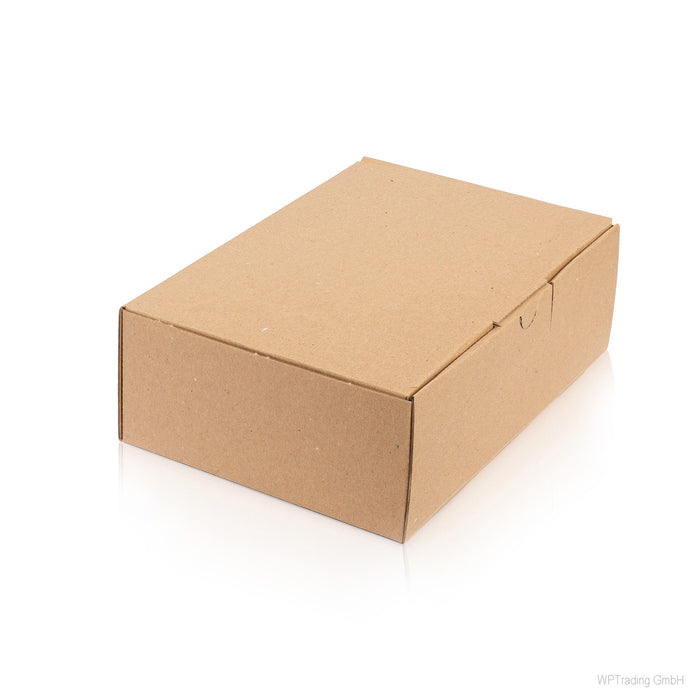 Kleinpaket Karton 350x250x80 mm, braun