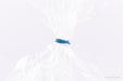 gummiringe_blau_zum_verschliessen